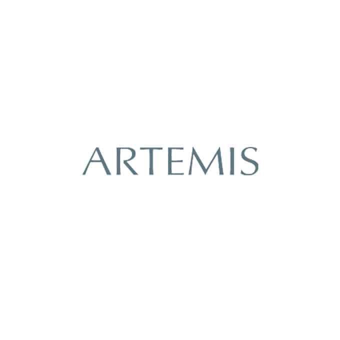 Les actionnaires - Artemis